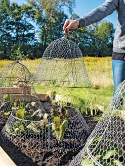 Chicken Wire Cloche With Extension -The Garden Shed Store 8600116 0604 3 4
