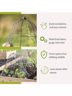 Chicken Wire Cloche With Extension -The Garden Shed Store 8600116 3