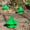 Slug And Snail Traps, Set Of 3