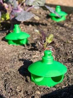 Slug And Snail Traps, Set Of 3 -The Garden Shed Store 8600120 1788