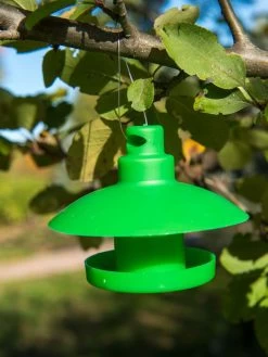 Slug And Snail Traps, Set Of 3 -The Garden Shed Store 8600120 1792