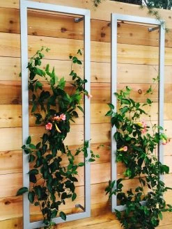 Ina Modern Wall Trellis Sr. -The Garden Shed Store 8600510 06V tif