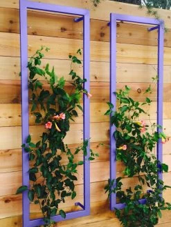 Ina Modern Wall Trellis Sr. -The Garden Shed Store 8600510 07V tif