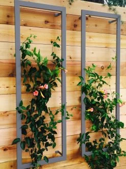 Ina Modern Wall Trellis Sr. -The Garden Shed Store 8600510 08V jpg
