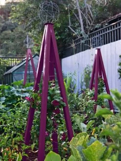 Akoris Garden Tuteur Jr. -The Garden Shed Store 8600517 01V akoris garden tuteur tif 1