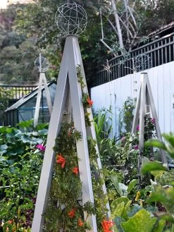 Akoris Garden Tuteur Jr. -The Garden Shed Store 8600517 07V tif