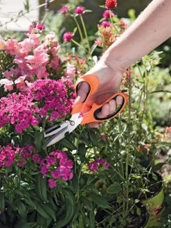 Gardener's Multi Purpose Scissors -The Garden Shed Store 8608655 19551 tif