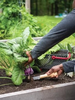 Gardener's Lifetime Hori Hori Knife 7 Gardener's Lifetime Hori Hori Knife -The Garden Shed Store 8608888 0422 tif