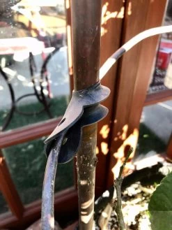 Garden Cane Connects, Set Of 6 -The Garden Shed Store 8609019 03V tif