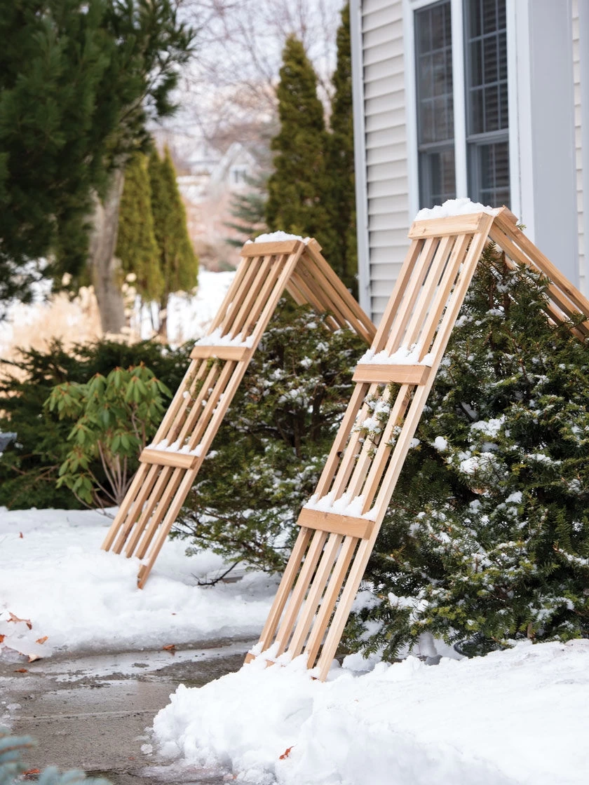 Cedar Shrub Guard 4 Cedar Shrub Guard - Image 4