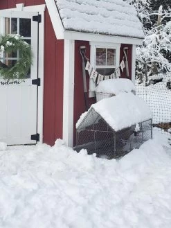 Chicken Wire Crop Coop -The Garden Shed Store 8609080 03IN tif