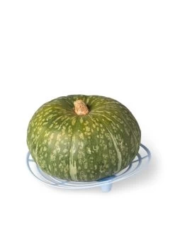 Melon And Squash Cradles, Set Of 6 -The Garden Shed Store 8609464 5204 tif