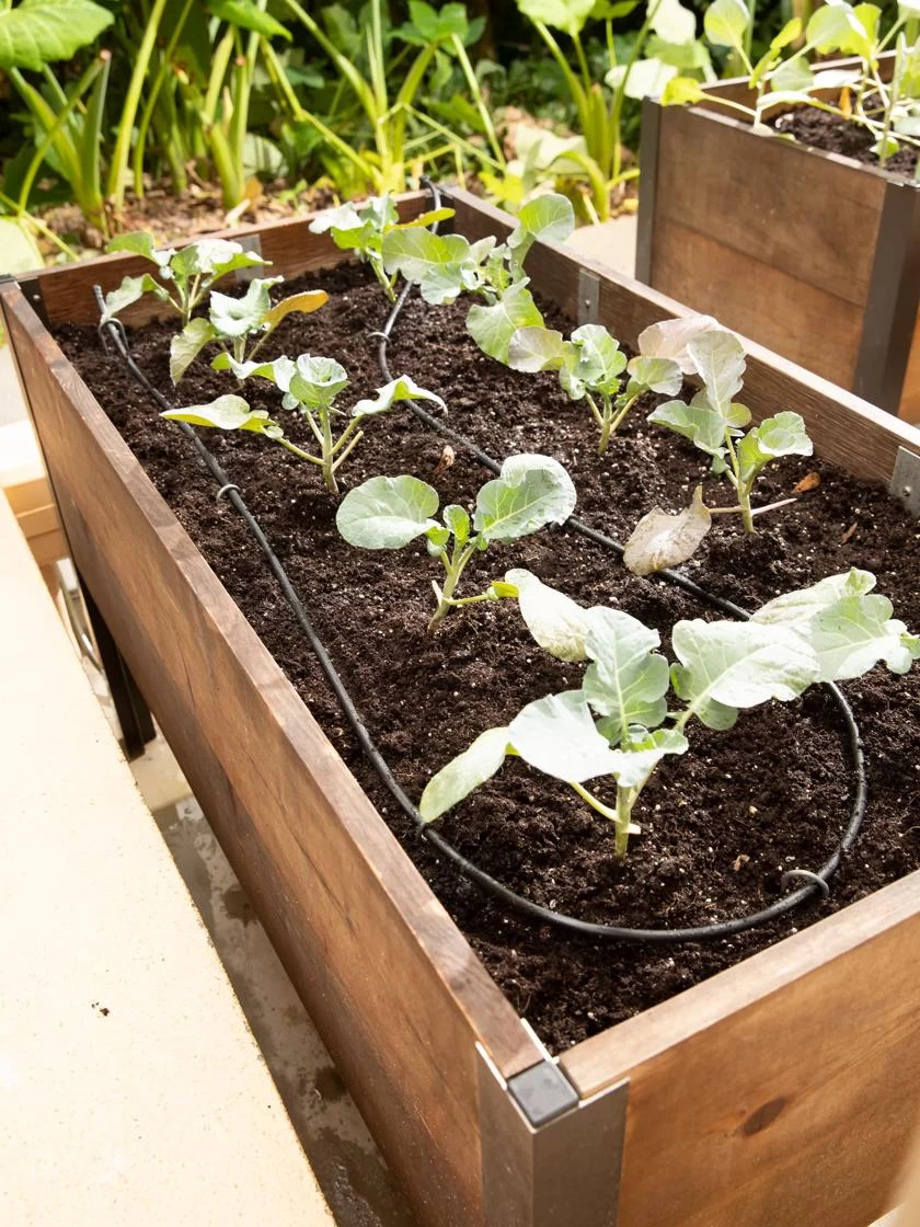 Raised Bed Drip Line Irrigation Kit 1 Raised Bed Drip Line Irrigation Kit