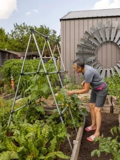 Connector Kit For DIY A Frame Plant Support -The Garden Shed Store 8610366 7584 tif