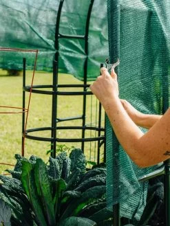 Maxi Garden Hoops With Clips -The Garden Shed Store 8610372 368 tif