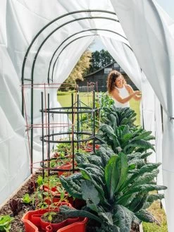 Maxi Garden Hoops With Clips -The Garden Shed Store 8610373 377 tif