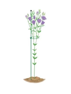 Peacock Mini Plant Support Rings 4", Set Of 2 -The Garden Shed Store 8610386 peacock4x36