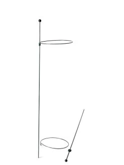 Peacock Mini Plant Support Rings 8", Set Of 2 13 Peacock Mini Plant Support Rings 8", Set Of 2 -The Garden Shed Store 8610388 9565 tif