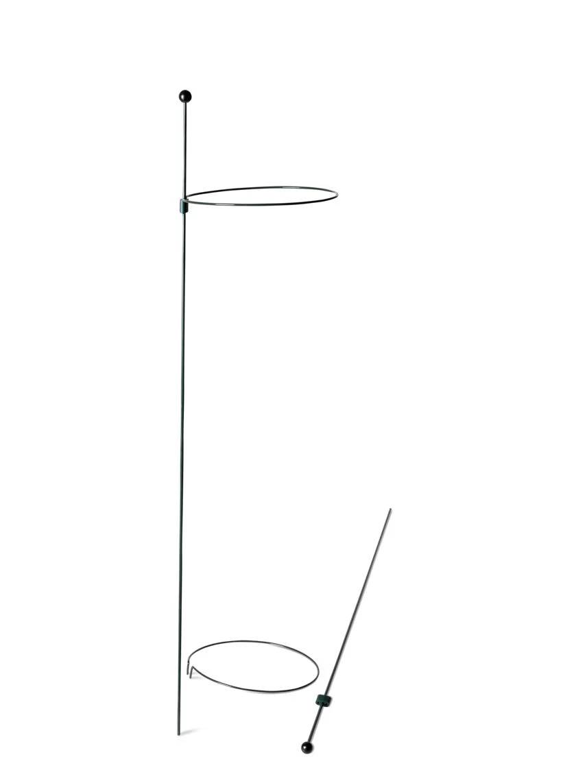 Peacock Mini Plant Support Rings 8", Set Of 2 7 Peacock Mini Plant Support Rings 8", Set Of 2 - Image 7