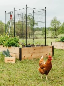 Tall Chicken Wire Critter Fence With Gate -The Garden Shed Store 8611020 316 tif