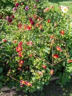 Parasol Plant Supports, Set Of 3 -The Garden Shed Store 8611129 050 tif