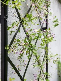 Lattice Gable Wall Trellis -The Garden Shed Store 8611130 011