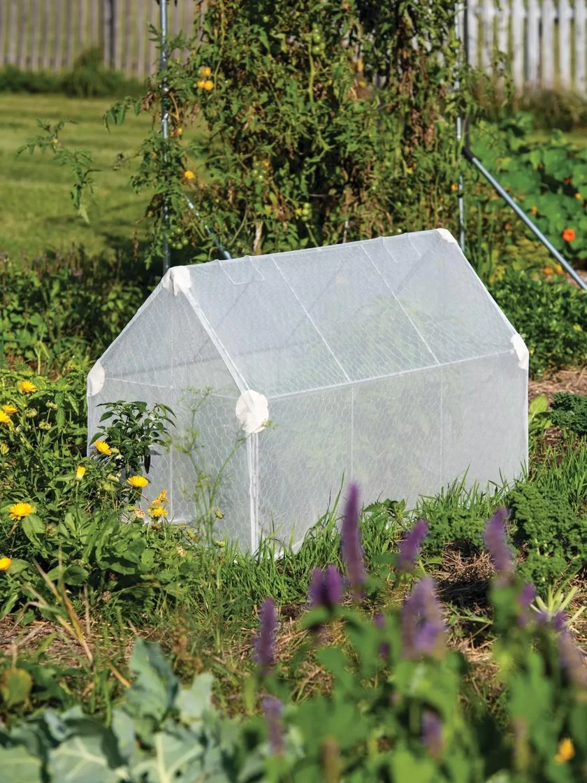 Crop Coop Covers Set 2 Crop Coop Covers Set - Image 2