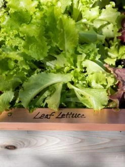 Re-Markable Raised Bed Trim -The Garden Shed Store 8611757 326 tif