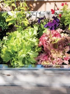 Re-Markable Raised Bed Trim -The Garden Shed Store 8611758 306 tif