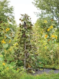 DIY Connector For Teepee Trellis -The Garden Shed Store 8611896 062 tif