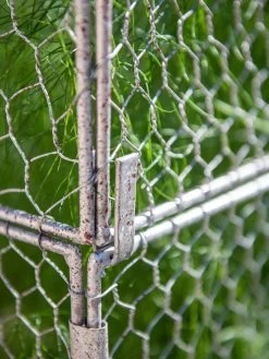 Chicken Wire Crop Coop Extension -The Garden Shed Store 8611940 232 tif