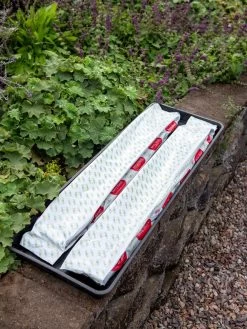 Berry Blend Coir Grow Bag, Set Of 2