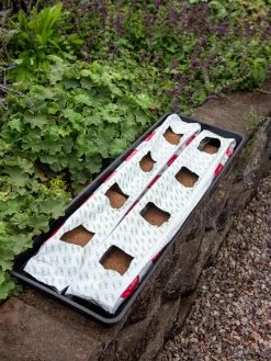 Berry Blend Coir Grow Bag, Set Of 2 -The Garden Shed Store 8611968 361 tif