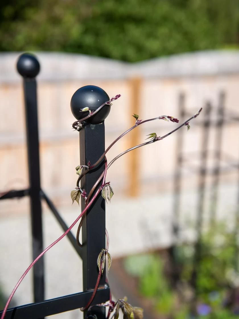 Essex Square Obelisk 5 Essex Square Obelisk - Image 5