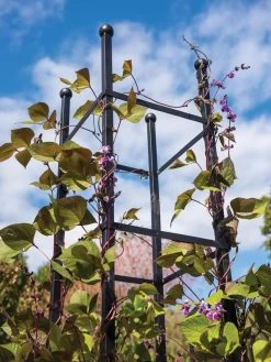 Essex Square Obelisk 8 Essex Square Obelisk -The Garden Shed Store 8611984 354 tif