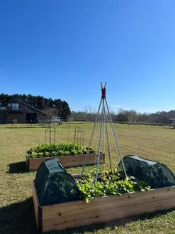 Insect And Pest Net Row Protector -The Garden Shed Store 8611985 04 tif