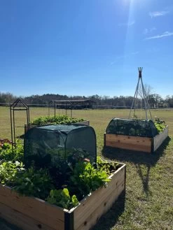 Pest Control Pop-Ups -The Garden Shed Store 8611989 05 tif