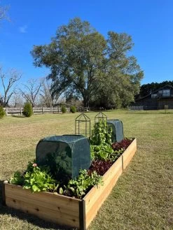 Pest Control Pop-Ups -The Garden Shed Store 8611989 08 tif
