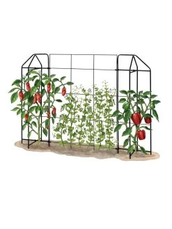 Zenith Trellis 6 Zenith Trellis -The Garden Shed Store 8612035 art tif