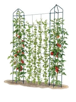 Zenith Trellis 7 Zenith Trellis -The Garden Shed Store 8612036 art tif