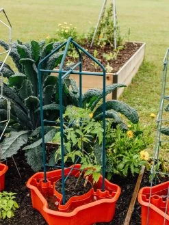 Deluxe Tomato Halos, Set Of 2 13 Deluxe Tomato Halos, Set Of 2 -The Garden Shed Store 8612045 221 tif