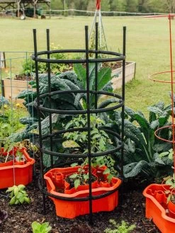 Deluxe Tomato Halos, Set Of 2 14 Deluxe Tomato Halos, Set Of 2 -The Garden Shed Store 8612045 228 tif