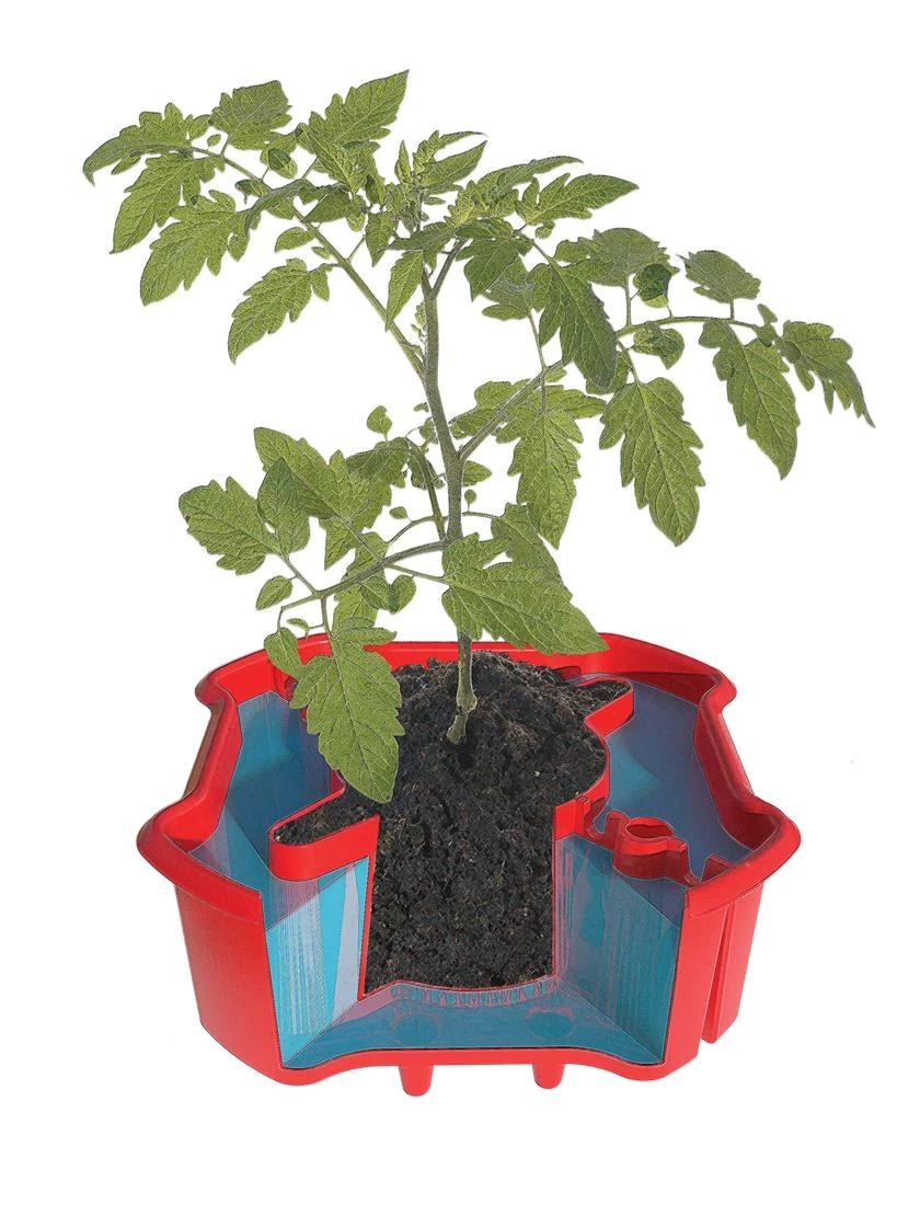 Deluxe Tomato Halos, Set Of 2 7 Deluxe Tomato Halos, Set Of 2 - Image 7