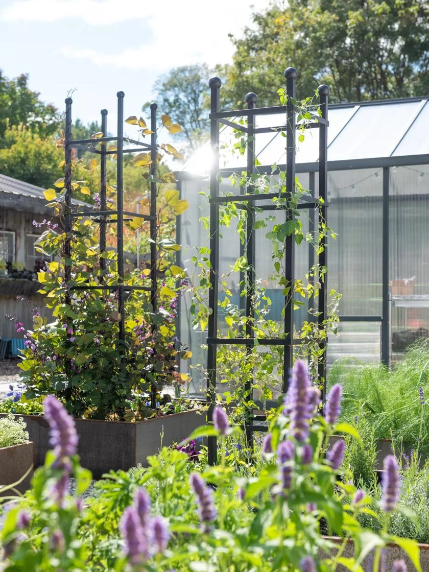 Essex Square Obelisk 2 Essex Square Obelisk - Image 2