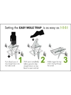 Easy Mole Trap 6 Easy Mole Trap -The Garden Shed Store 8612557 04v 1