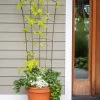 Flock Of Friends Pot Trellis