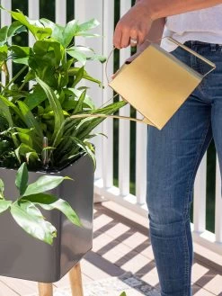 Precision Brass Watering Can 7 Precision Brass Watering Can -The Garden Shed Store 8612691 0011