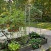 Chicken Wire Pea Trellis