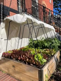 Cotton All Purpose Garden Cover -The Garden Shed Store 8612816 01CUST