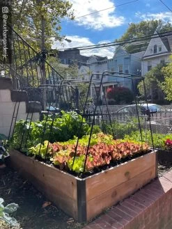 Zenith Garden Hoops, Set Of 4 14 Zenith Garden Hoops, Set Of 4 -The Garden Shed Store 8612816 02CUST